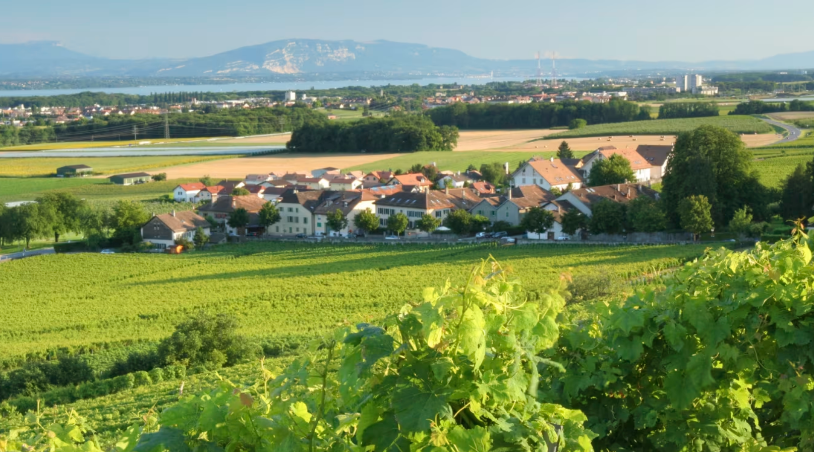 Votre havre de paix au coeur de la Côte.
BIENVENUE À LUINS